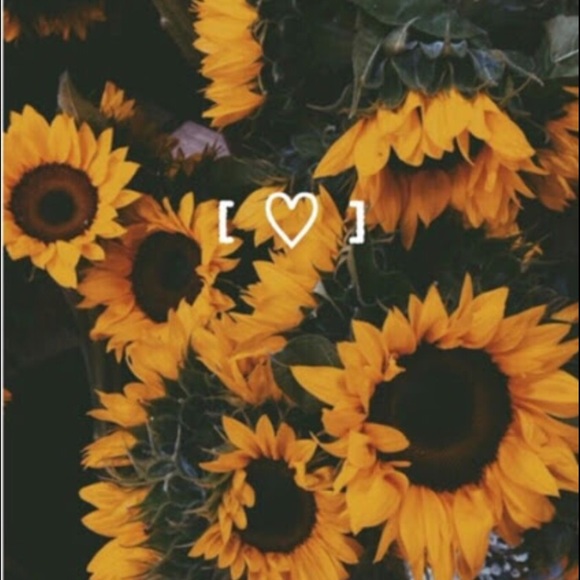 Meet your Posher, Aowyn - Picture 1 of 1